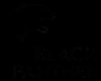 BLACK PANTHER Car Battery Abu Dhabi